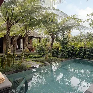 https://moringa-ubud-villa.ubudhotelsnow.com